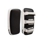 Boxing Kick Pad