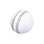 Cricket Ball
