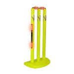 Cricket Wicket