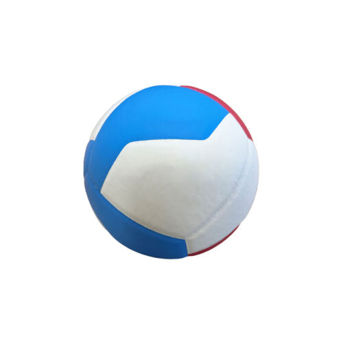 Volleyballs Ball